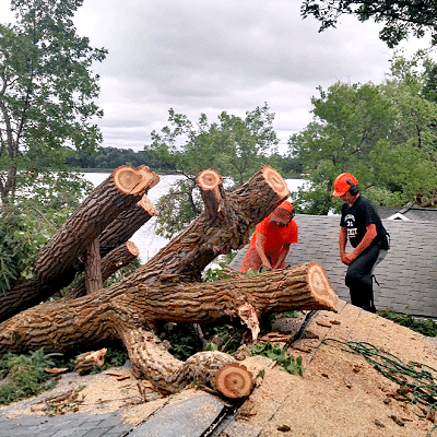 emergency tree Service